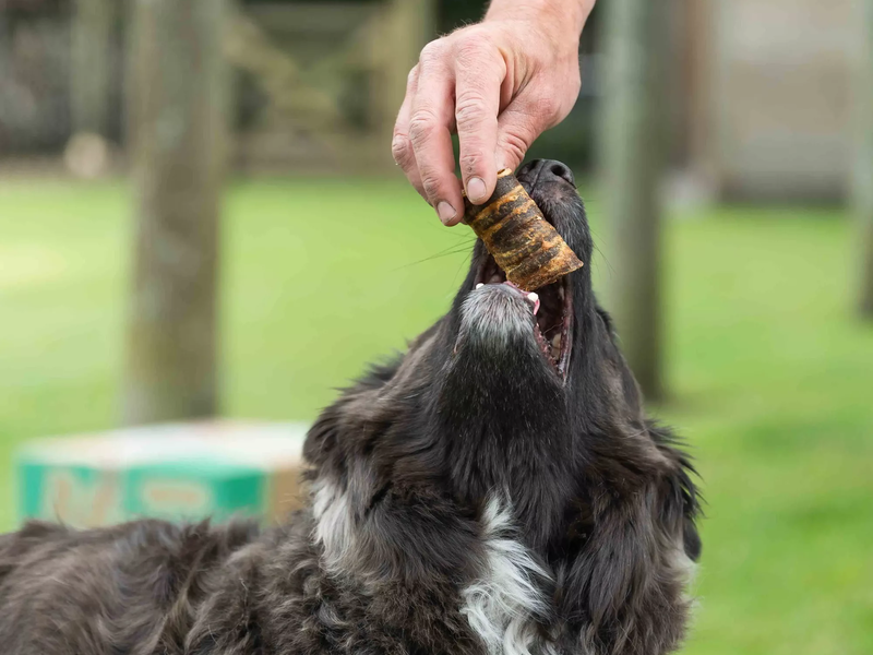 BROK website image main